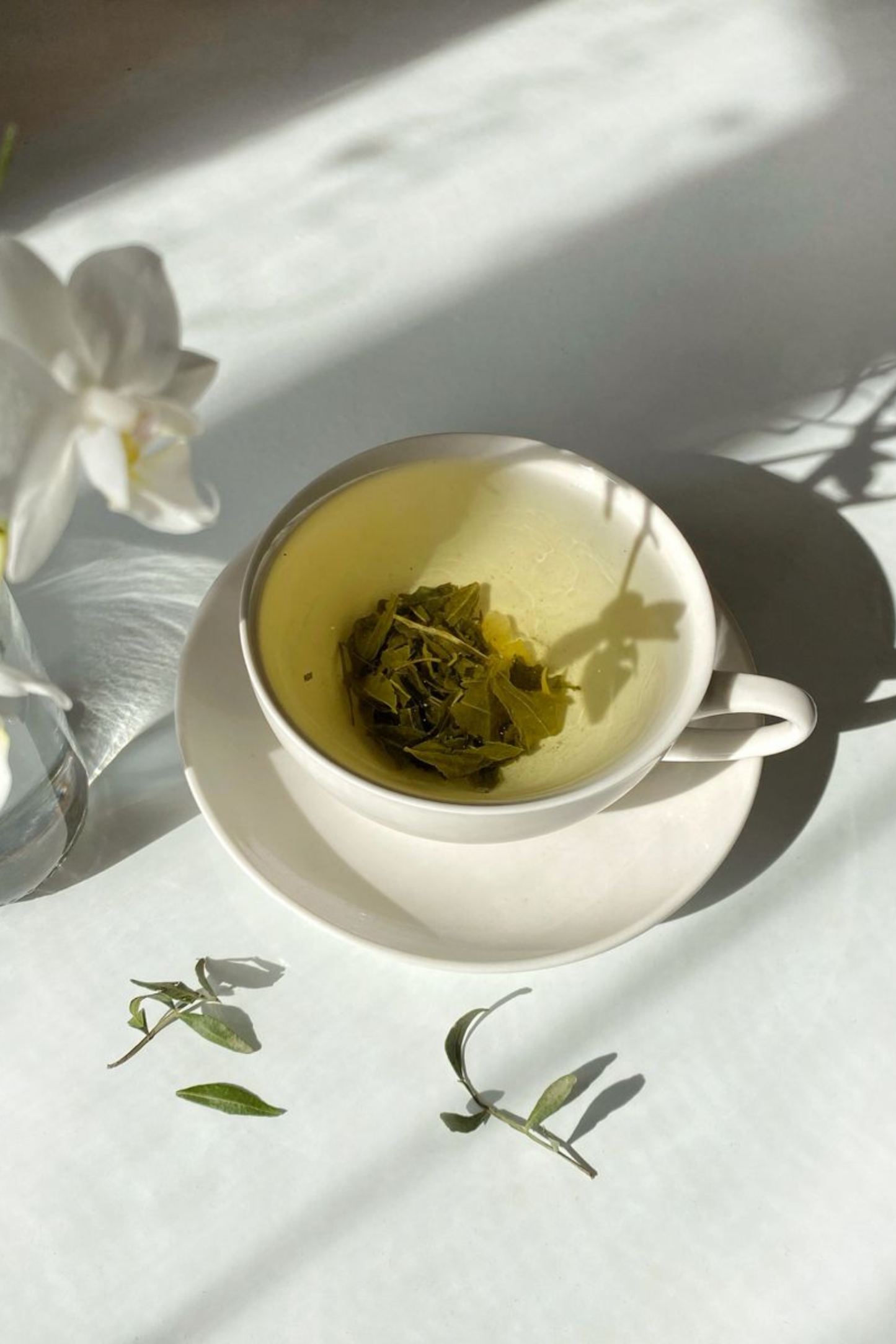Green Tea