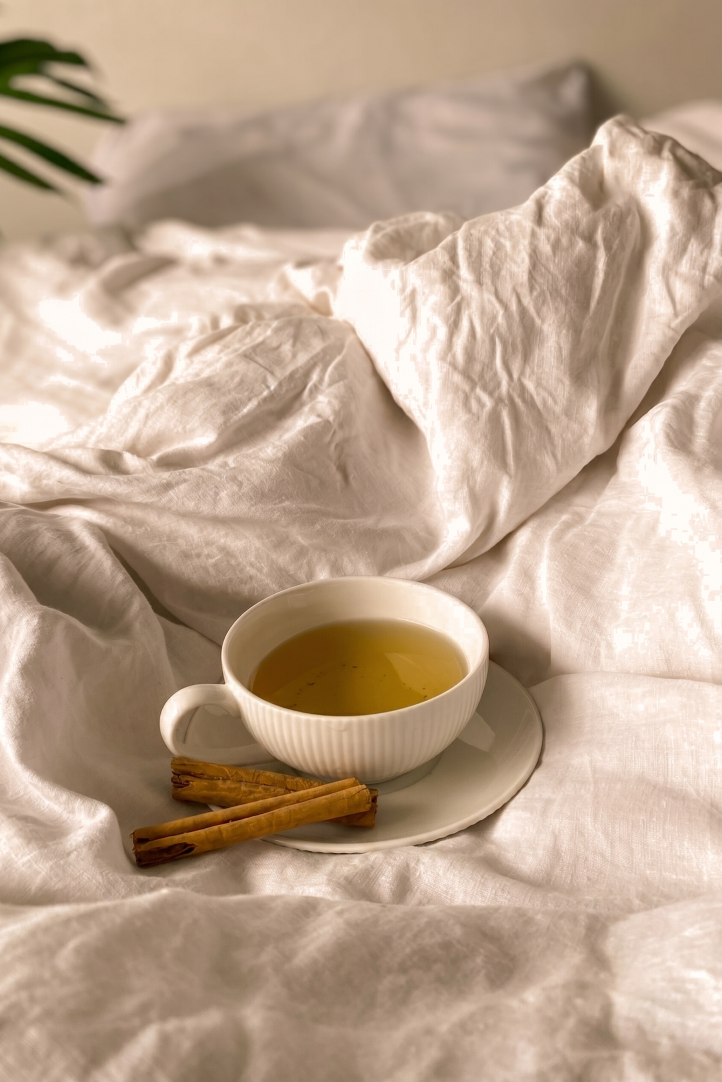 Relax Herbal Tea